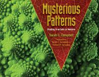 Book Jacket for: Mysterious patterns : finding fractals in nature