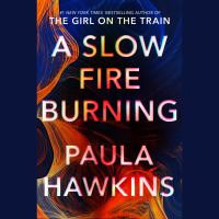 Book Jacket for: A slow fire burning