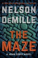 Book Jacket for: The maze