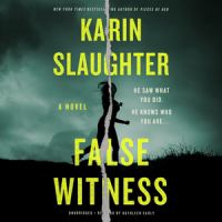 Book Jacket for: False witness