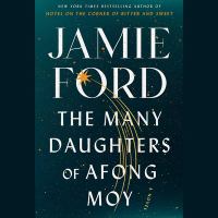 Book Jacket for: The many daughters of Afong Moy