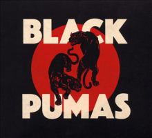 Book Jacket for: Black pumas
