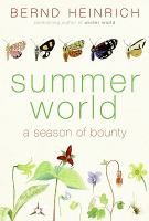 Book Jacket for: Summer world : a season of bounty